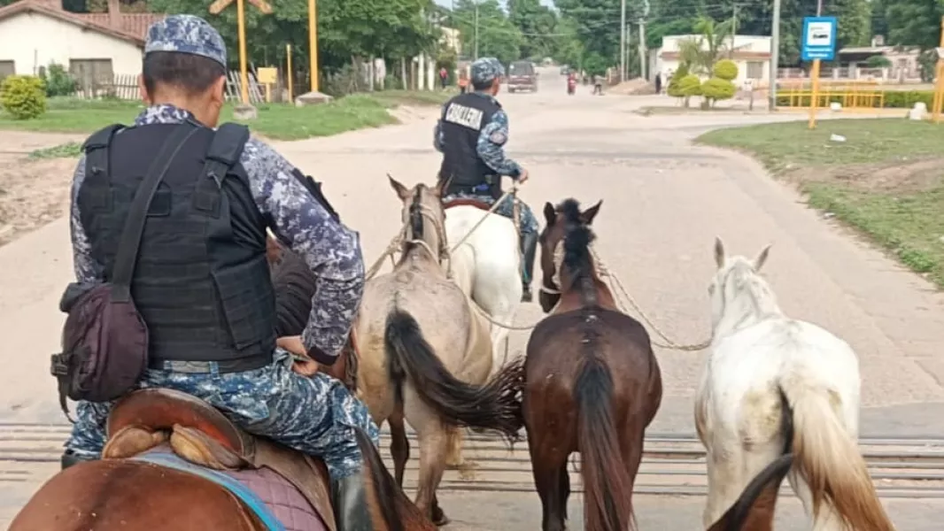110846-la-policia-de-salta-desarrollo-un-operativo-de-incautacion-de-animales-sueltos-en-distintos-puntos-de-la-provincia