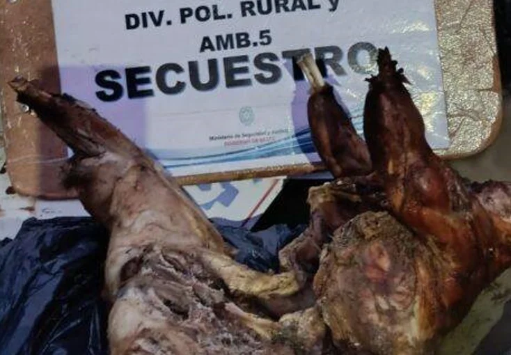 Vizcacha