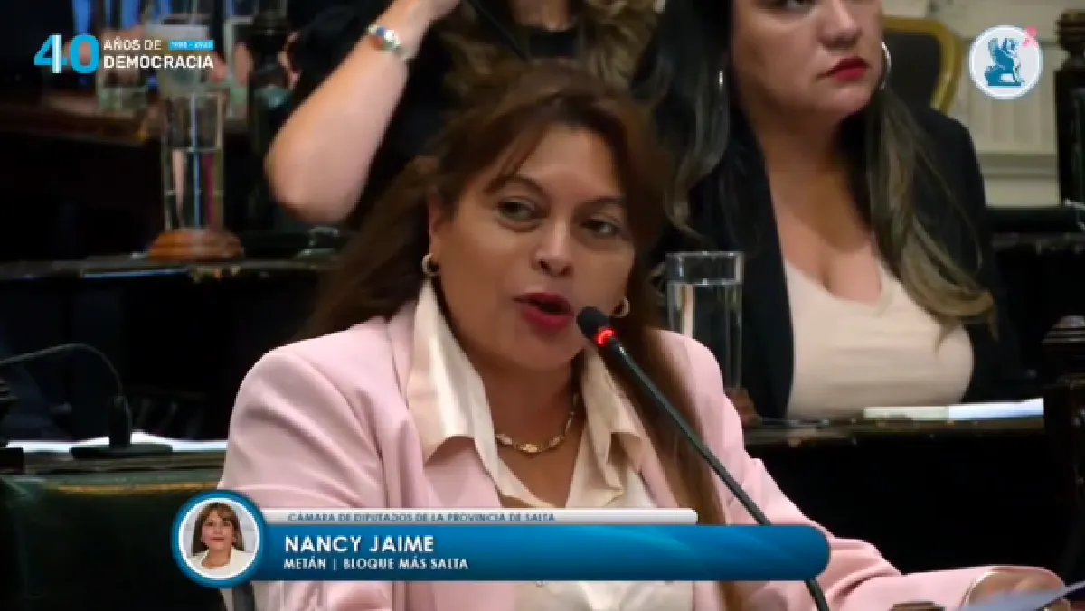 Diputada Nancy Jaime