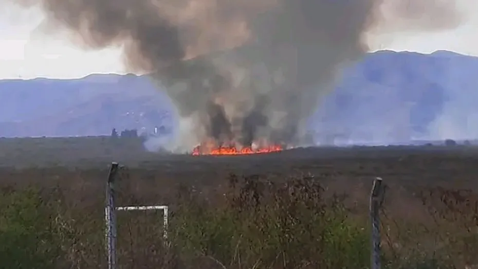 IMG_20240806_184524_(930_x_525_píxel)