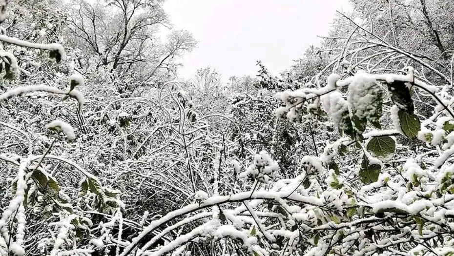 IMG_20240527_164922_(930_x_525_píxel)