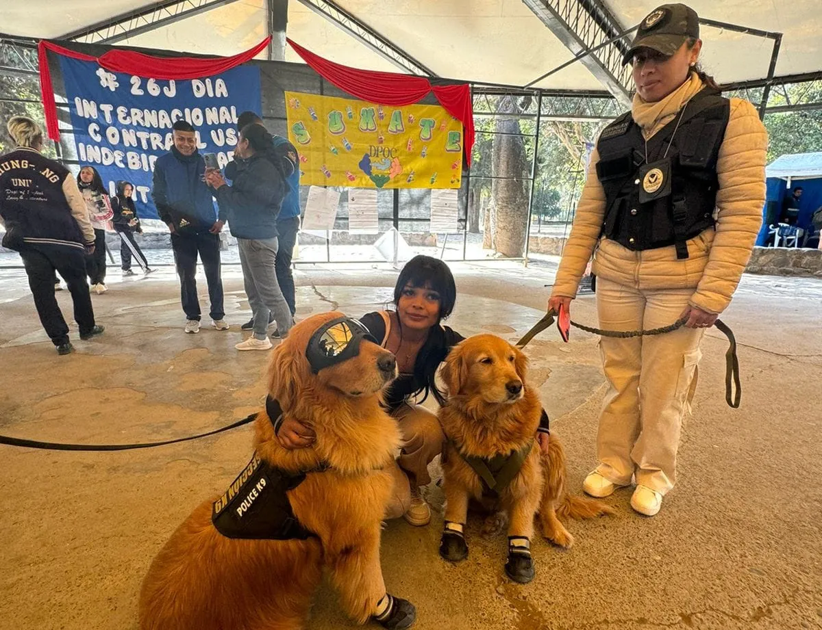 Perritos