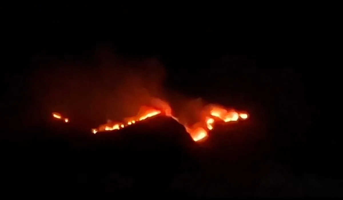 Incendio forestal