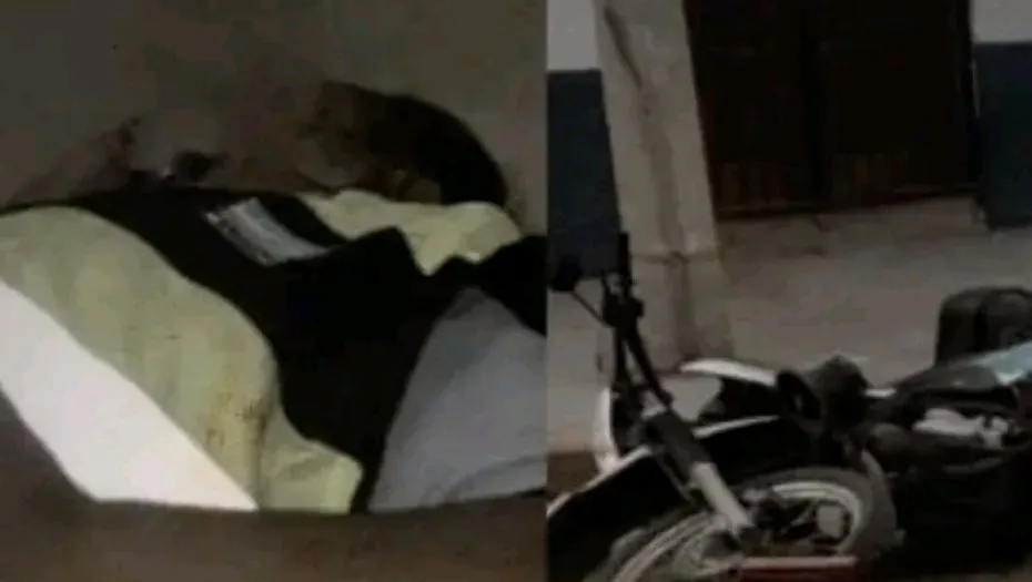 IMG_20240627_165650_(930_x_525_píxel)