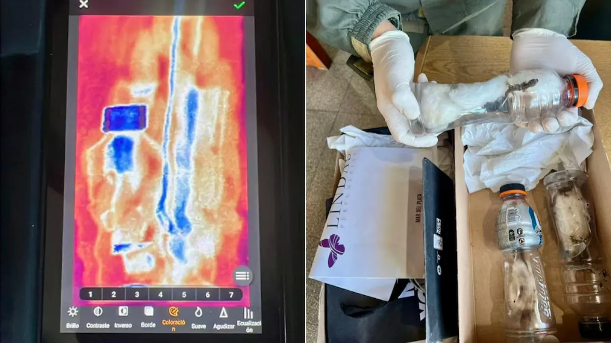 IMG_20251029_162024_(1200_x_675_píxel)