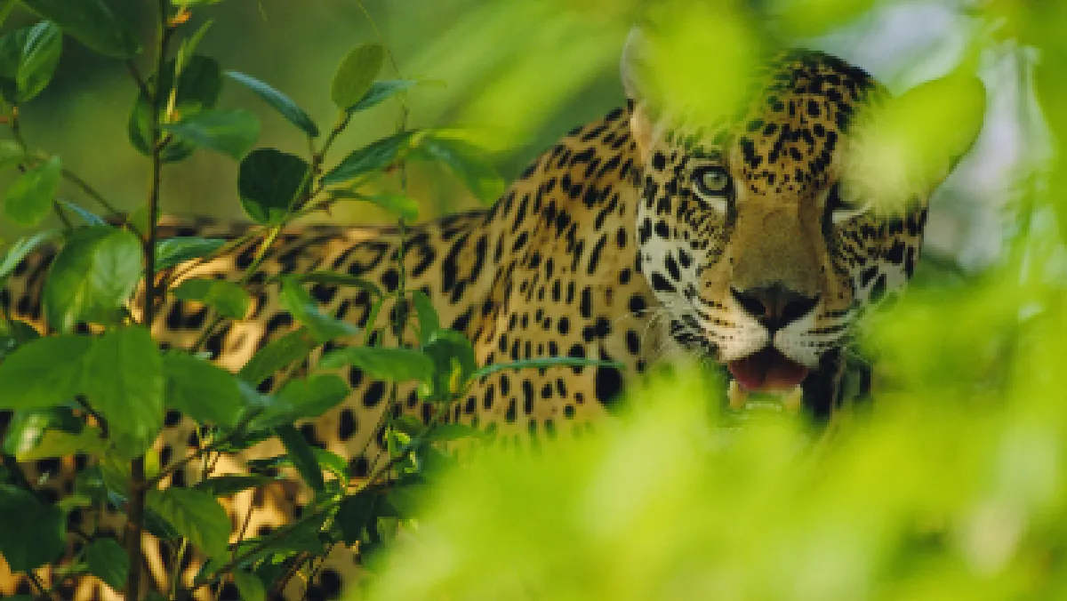 Concurso de fotografía (Imagen ilustrativa)