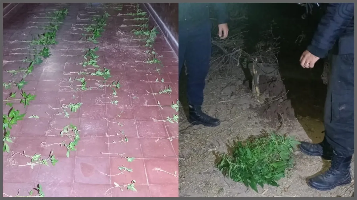 Drogas Peligrosas