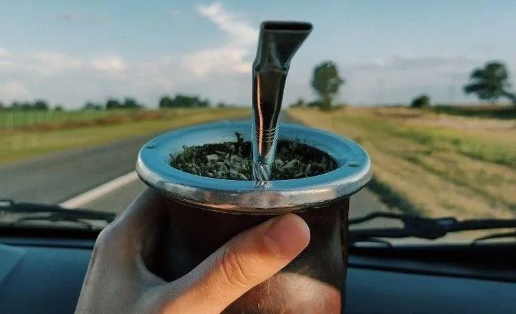 Adiós vaquero: Tomar mate al volante ya es motivo de multa en varias  provincias