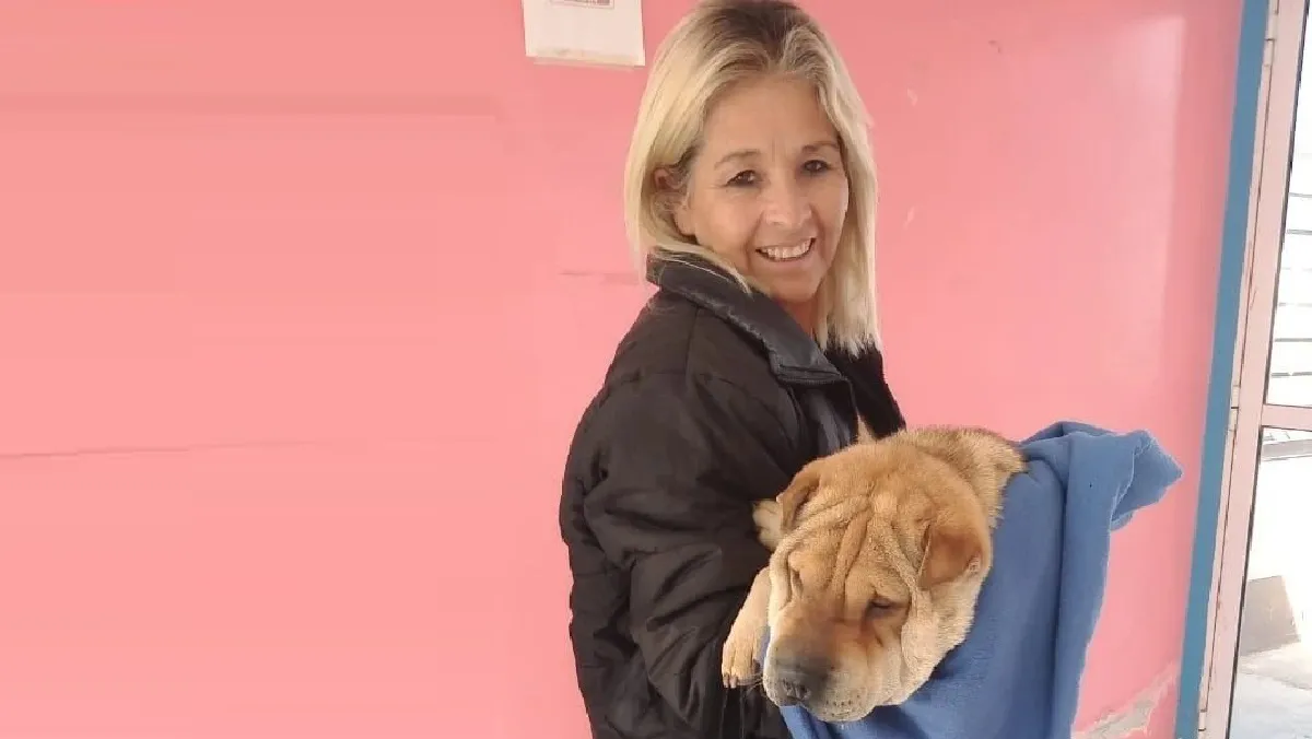 371077456_615087327476962_8676464609895118570_n