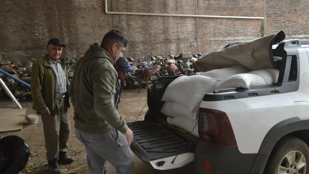 Entrega alimentos animales