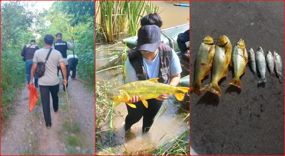 policía lacustre peces