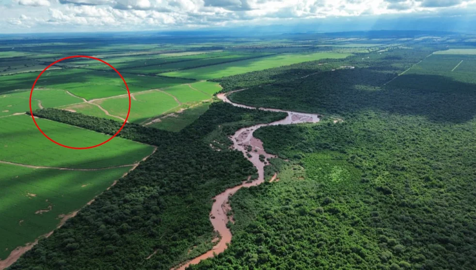 Burela