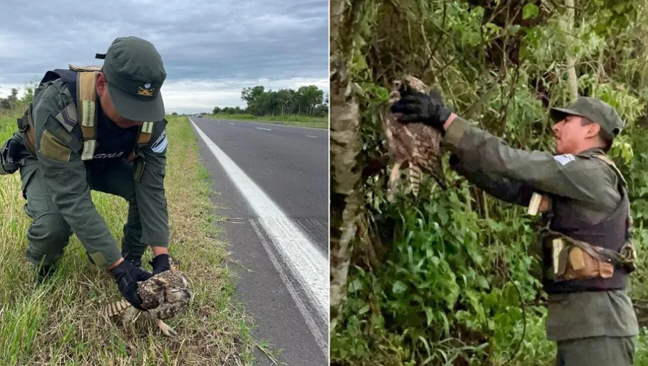 IMG_20241121_112734_(930_x_525_píxel)