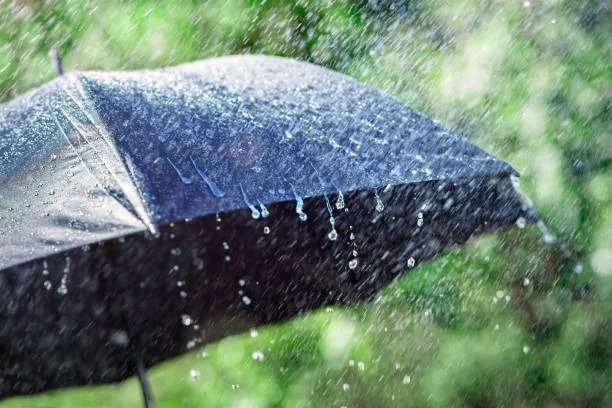 istockphoto-1757967583-612x612