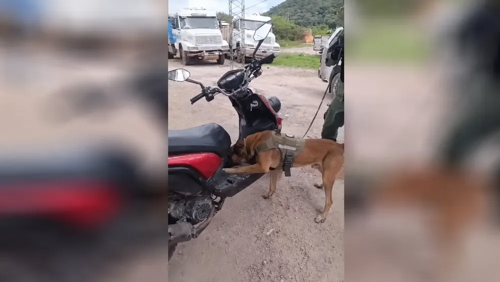 Apache