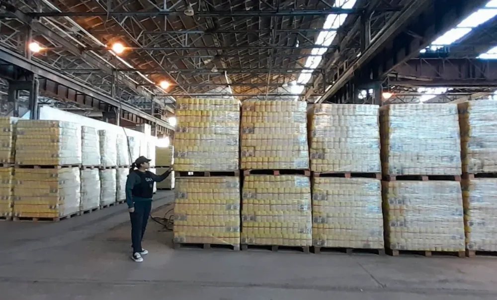 allanan deposito capital humano