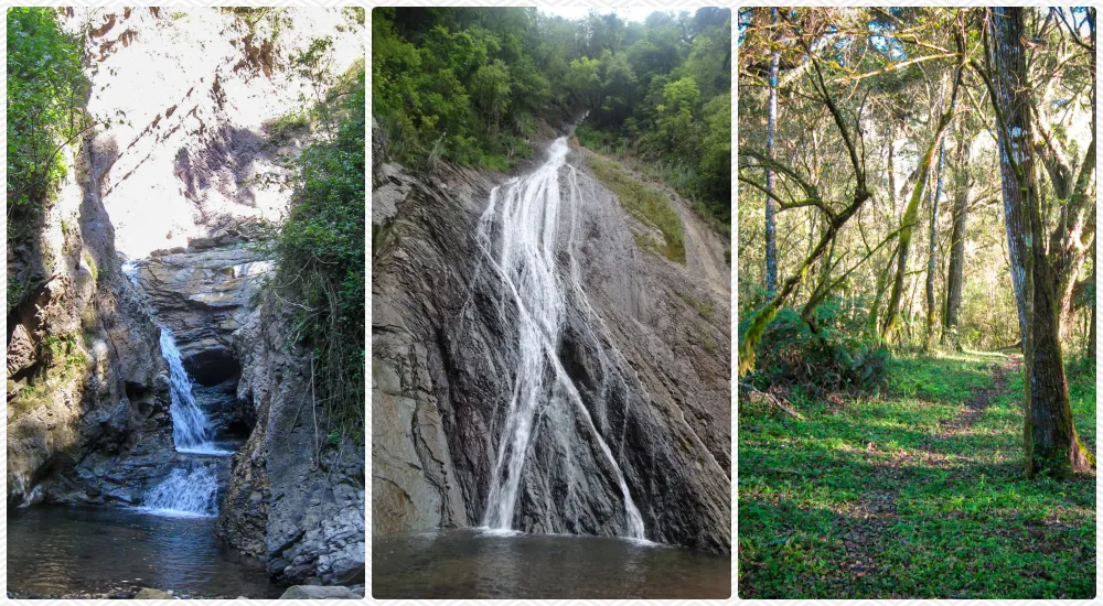 Sendero chorro de los loros