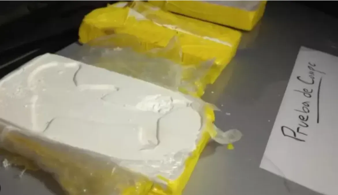 plastilina