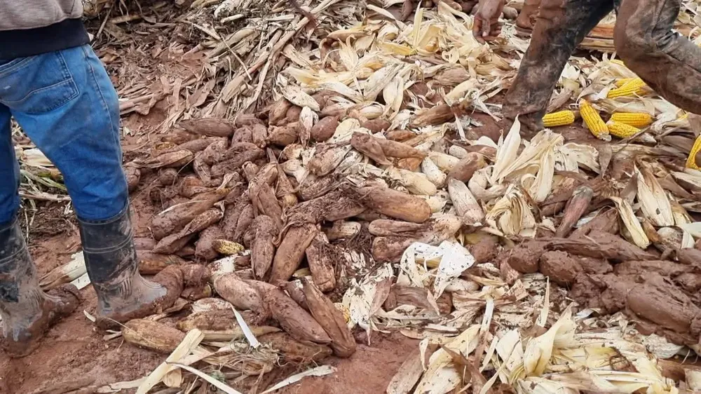 FB_IMG_1773781059548