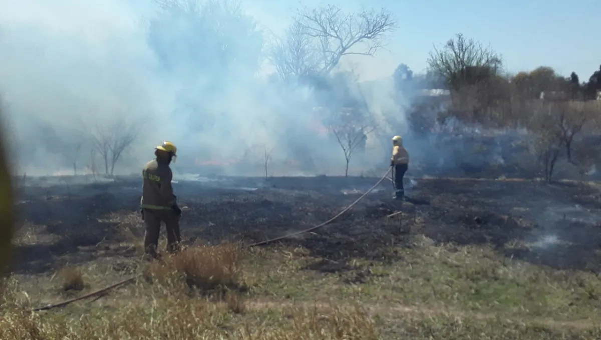 WhatsApp Image 2025-08-29 at 17.49.15