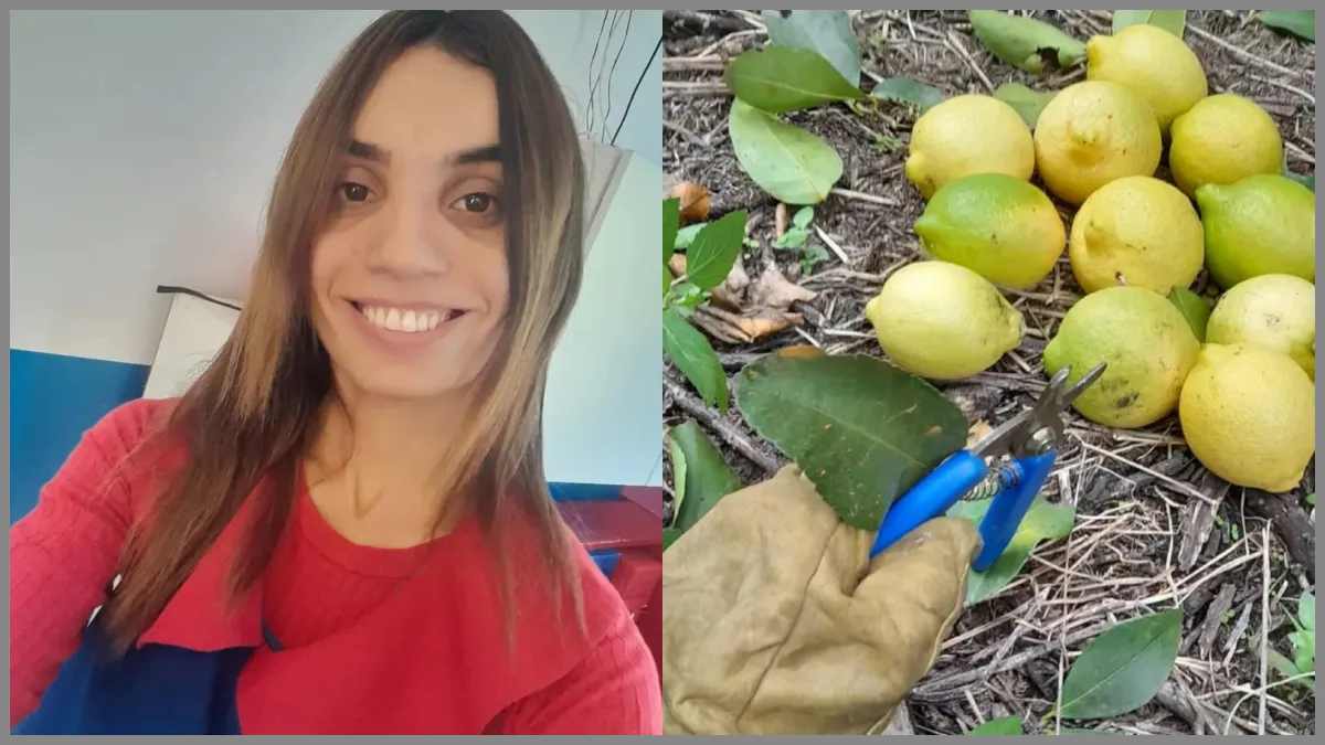 Maestra Jardinera