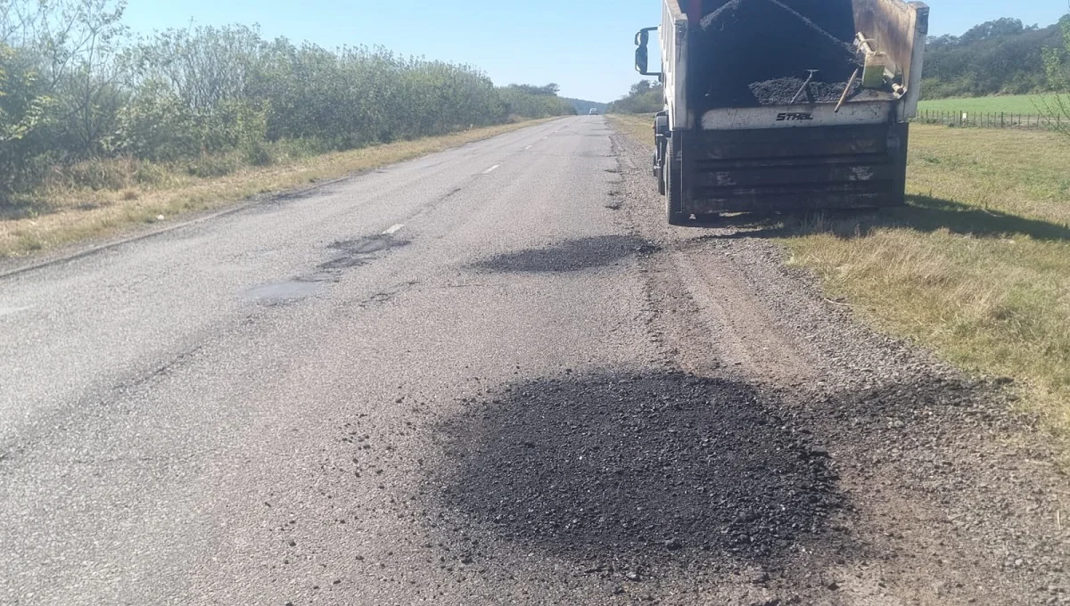 bacheo