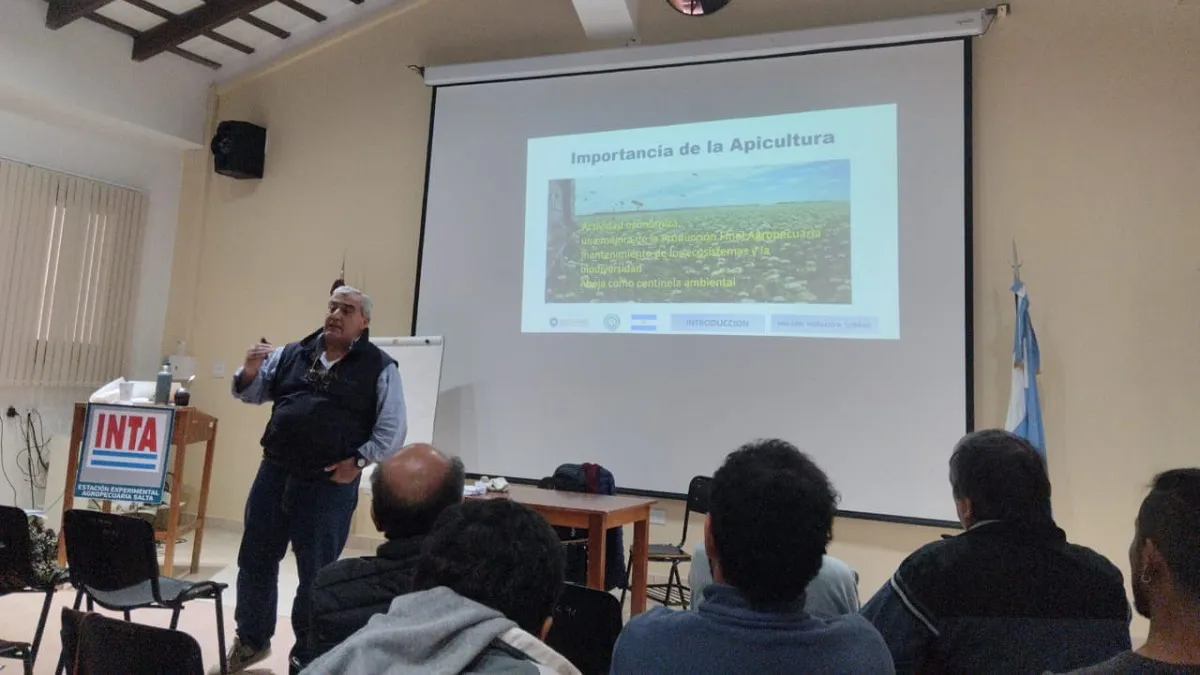 Capacitación