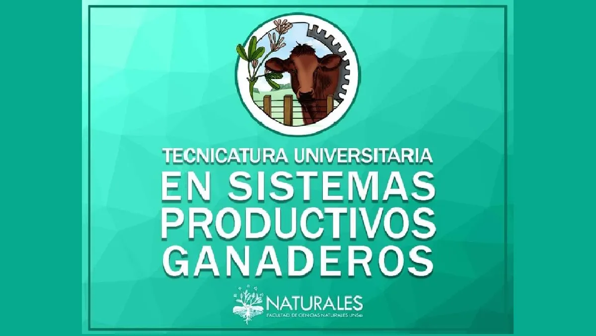 Tecnicatura