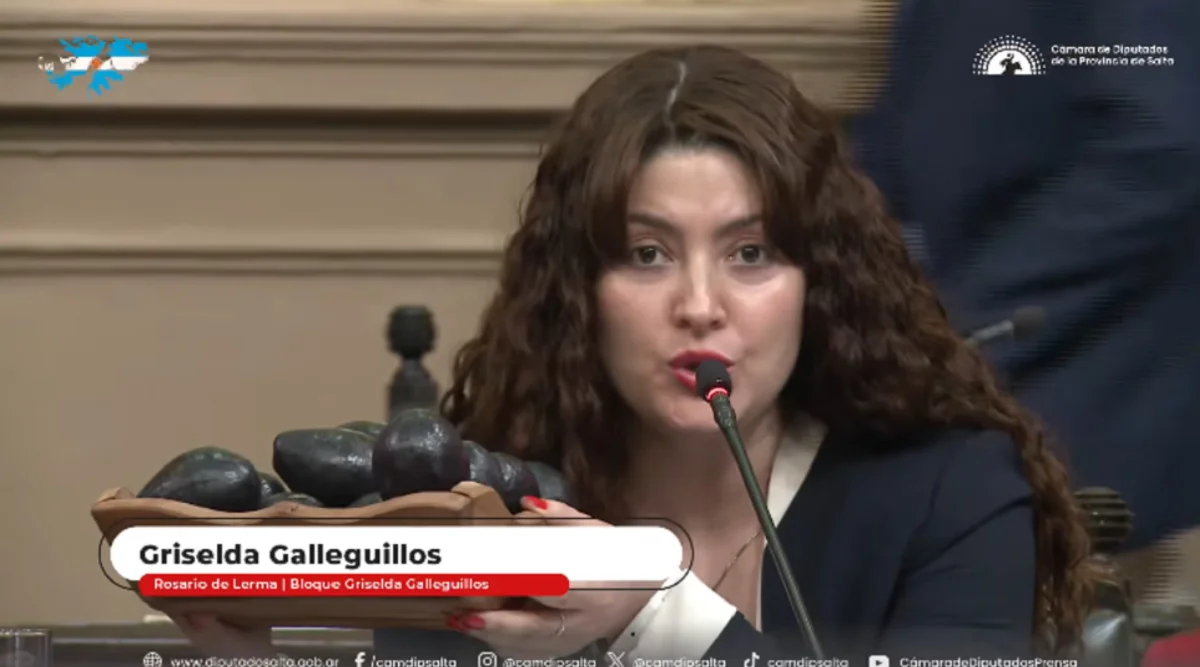 Griselda galleguillos