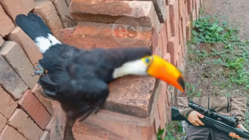 Picsart_25-03-27_21-12-00-303