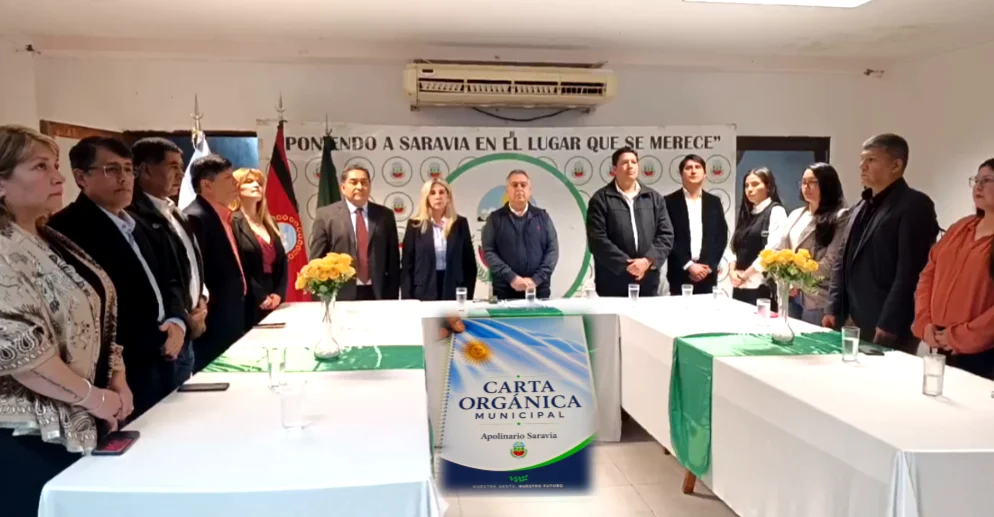 Carta Orgánica Apolinario Saravia