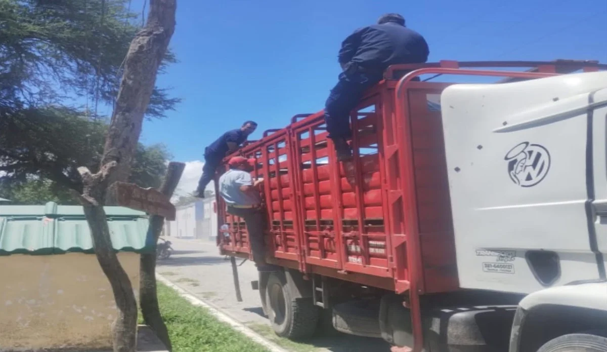 WhatsApp Image 2026-02-19 at 11.35.29