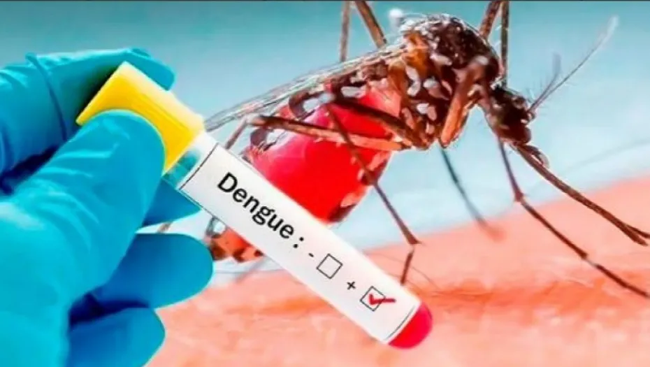 IMG_20240528_164829_(930_x_525_píxel)