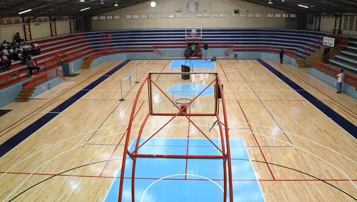 Complejo piso parquet