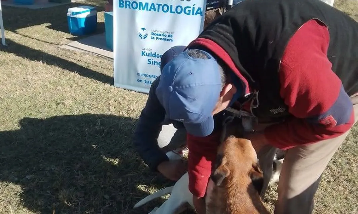 camapaña de vacunacion