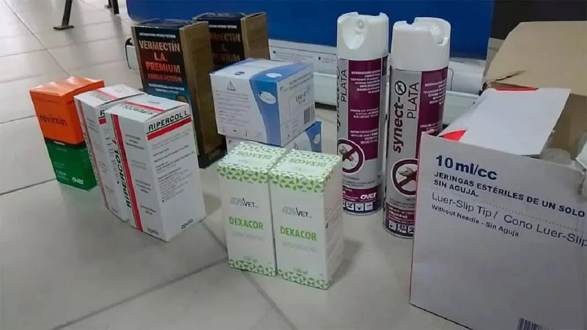 Kit