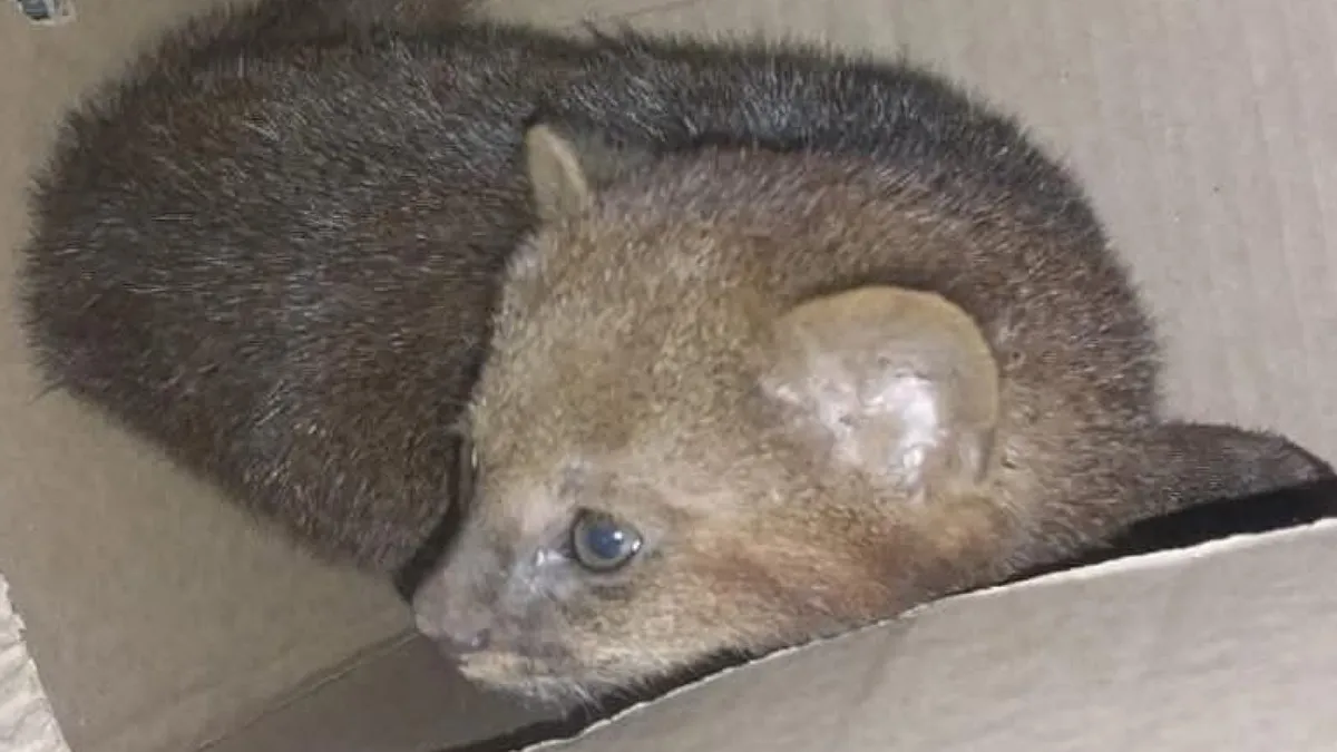 IMG_20251002_131136_(1200_x_675_píxel)