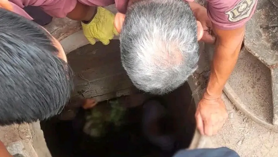 IMG_20241112_144021_(930_x_525_píxel)