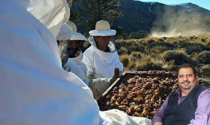 apicultura
