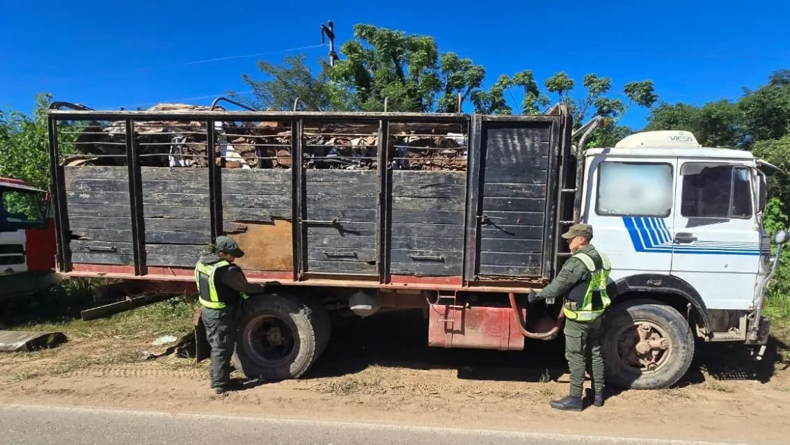 camion