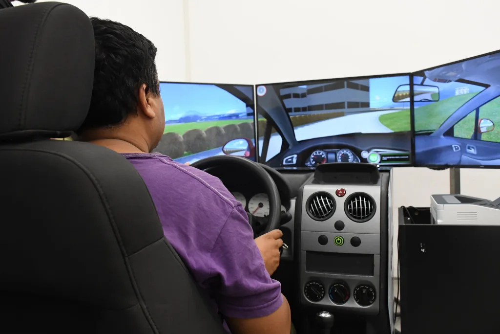 simulador licencia de conducir