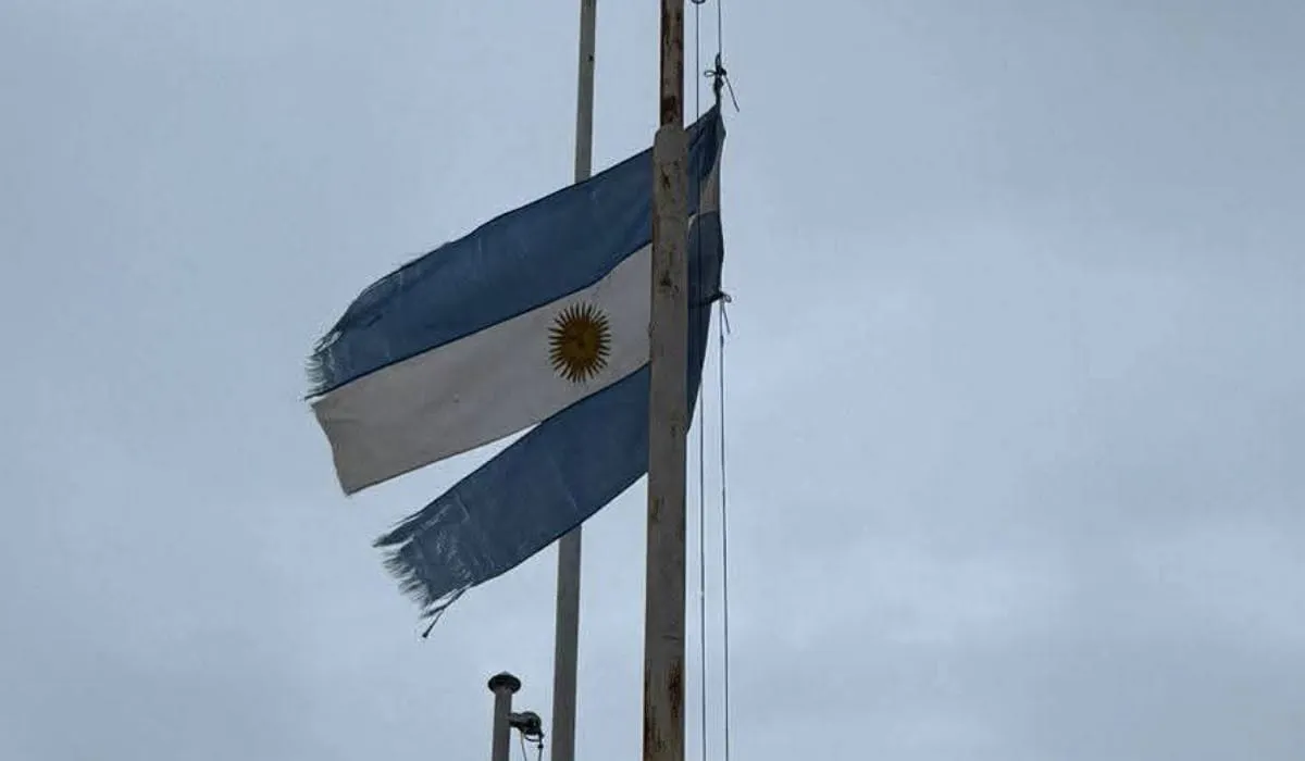 Desnaturalización (4)