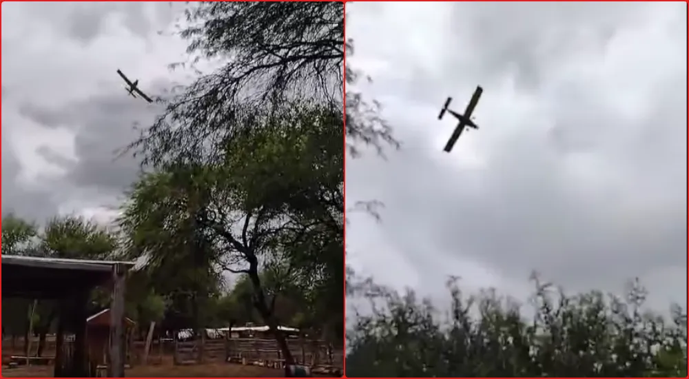 fumigación aérea salta forestal