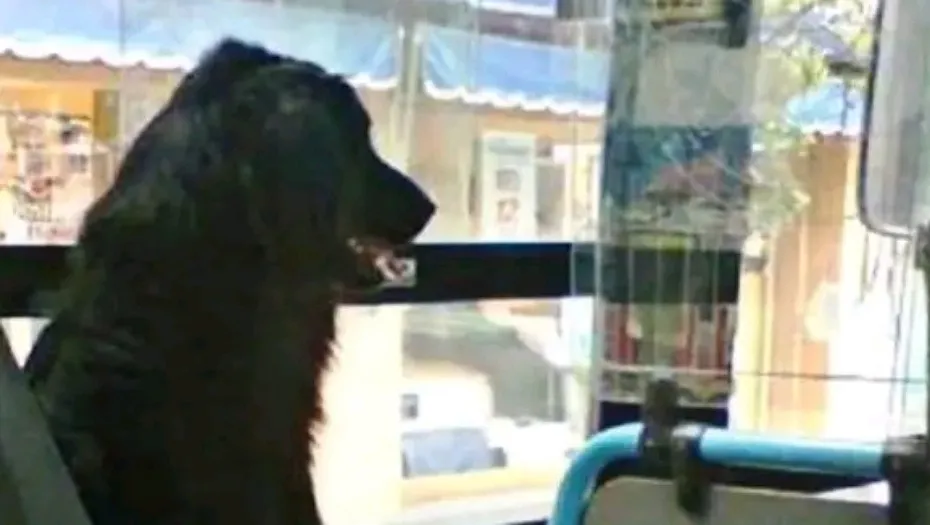 IMG_20240228_170112_(930_x_525_píxel)