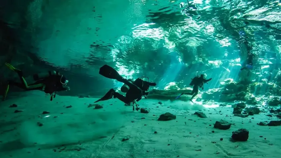 IMG_20241008_160652_(930_x_525_píxel)