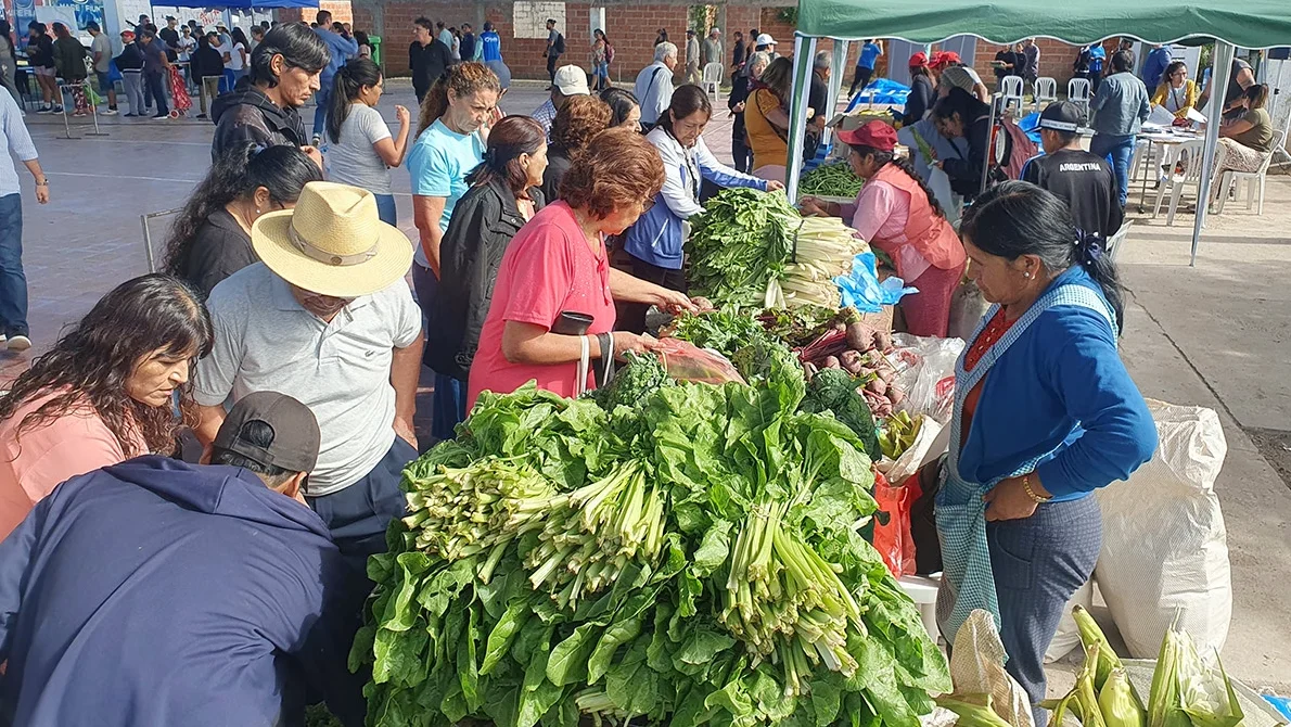 Mercado ofertas en Salta