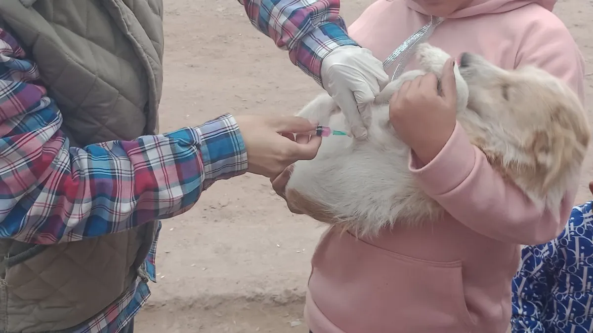 Vacunac Antirrábica