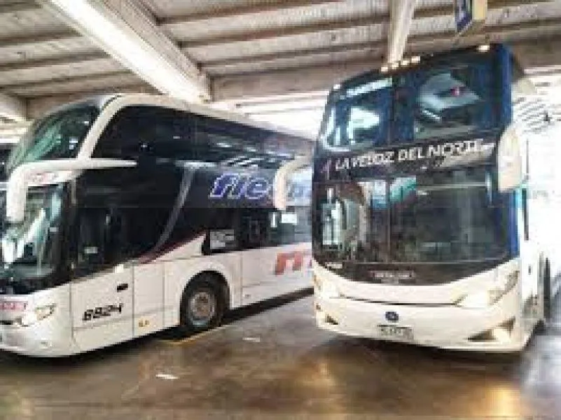 multimedia.normal.96b20981ecbbf6db.ZmxlY2hhIGxhIHZlbG96X25vcm1hbC5qcGVn