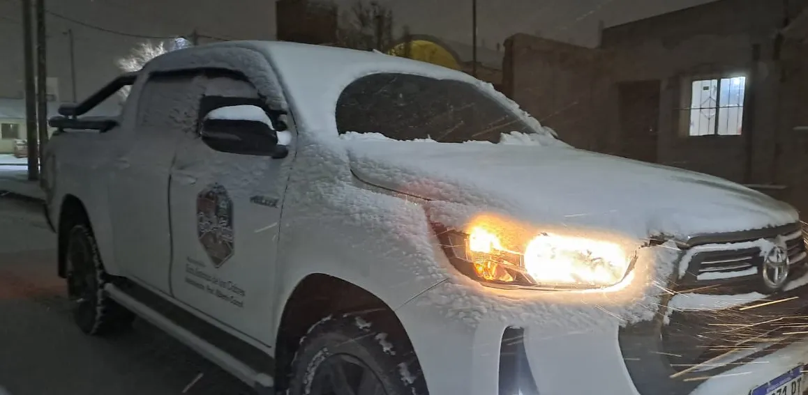 Nievee