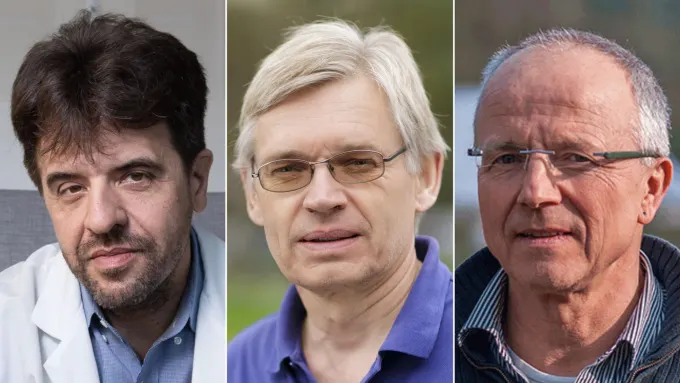 nobel-20261005100502144
